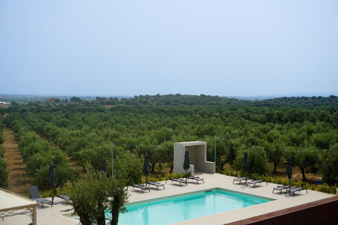 Agriturismo Casacchella 마리나 디 시바리 외부 사진